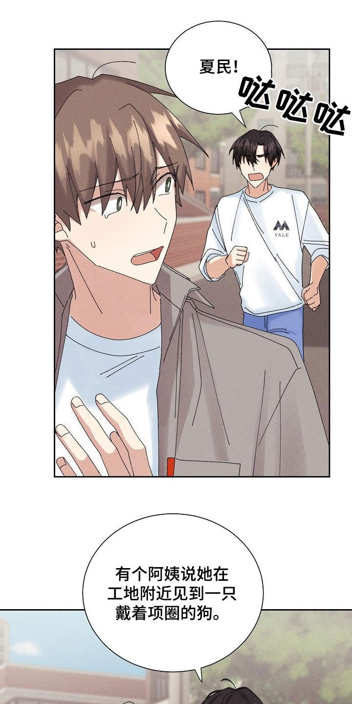 失忆陷阱第32话图