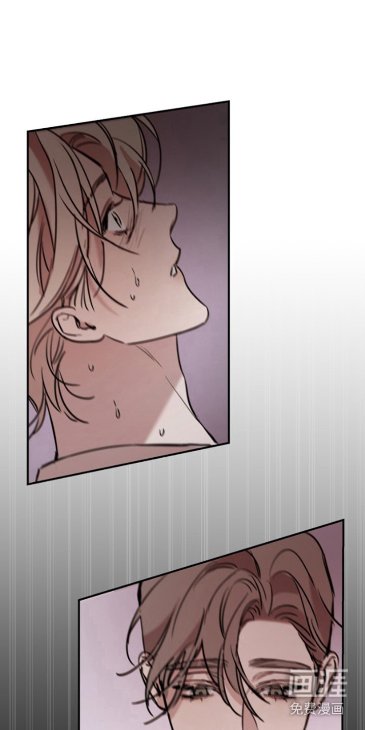 摄影迷乱第9话图