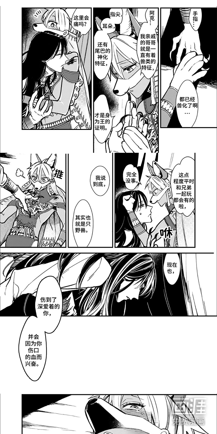 兽王与狼面第11话图