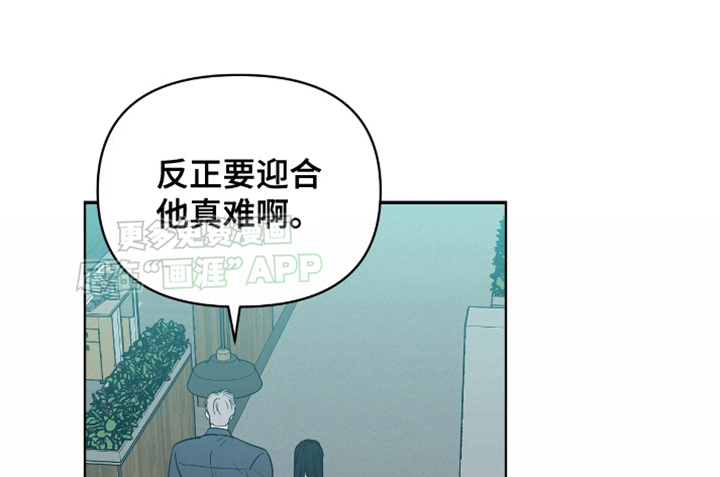 闪耀宝贝第13话图