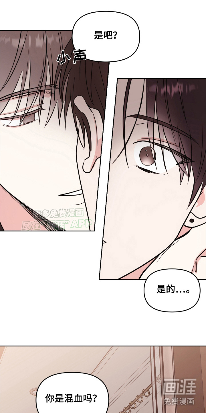 闪耀宝贝第4话图