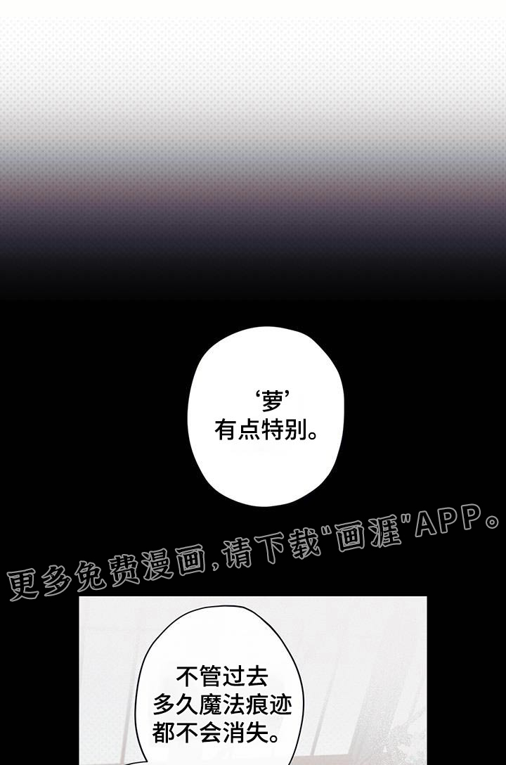 三十五号遗迹第40话图