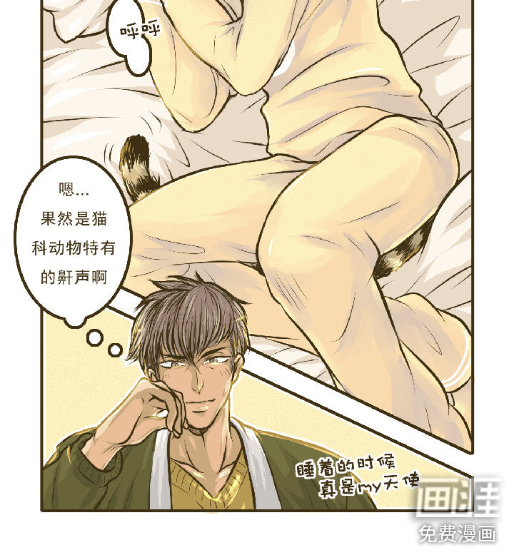 绅士与山猫第2话图