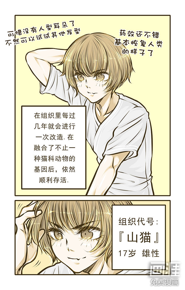 绅士与山猫第3话图