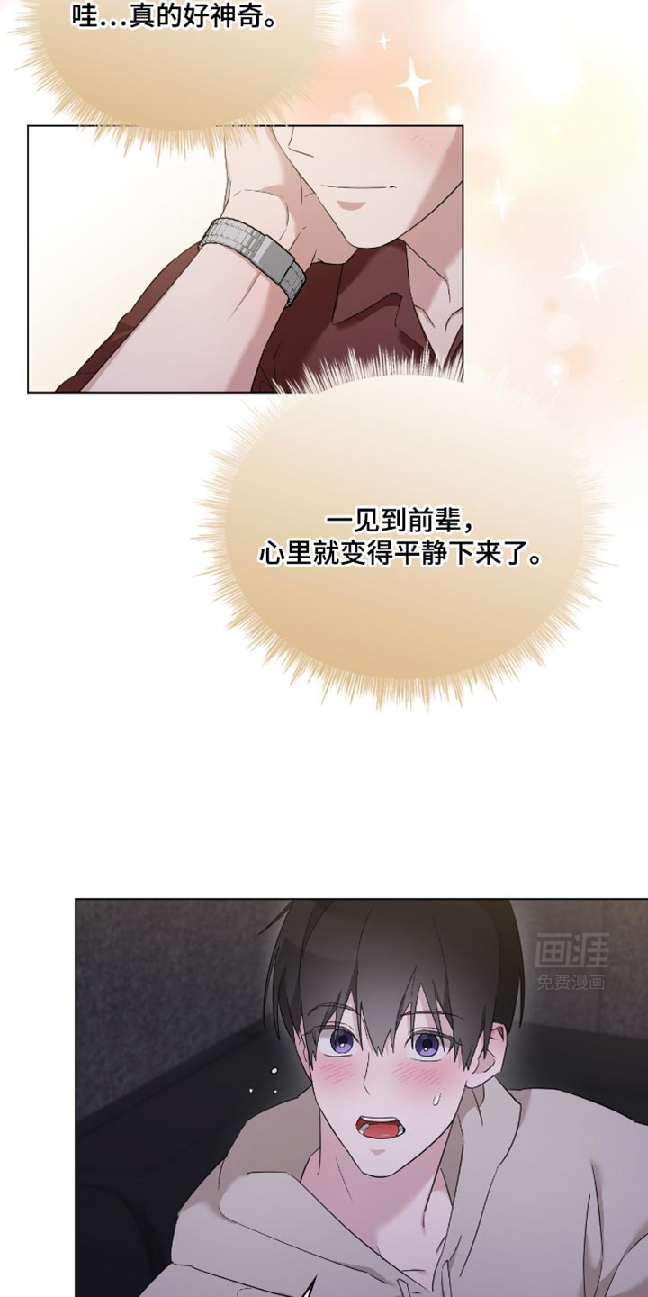 是我太可爱吗第36话图