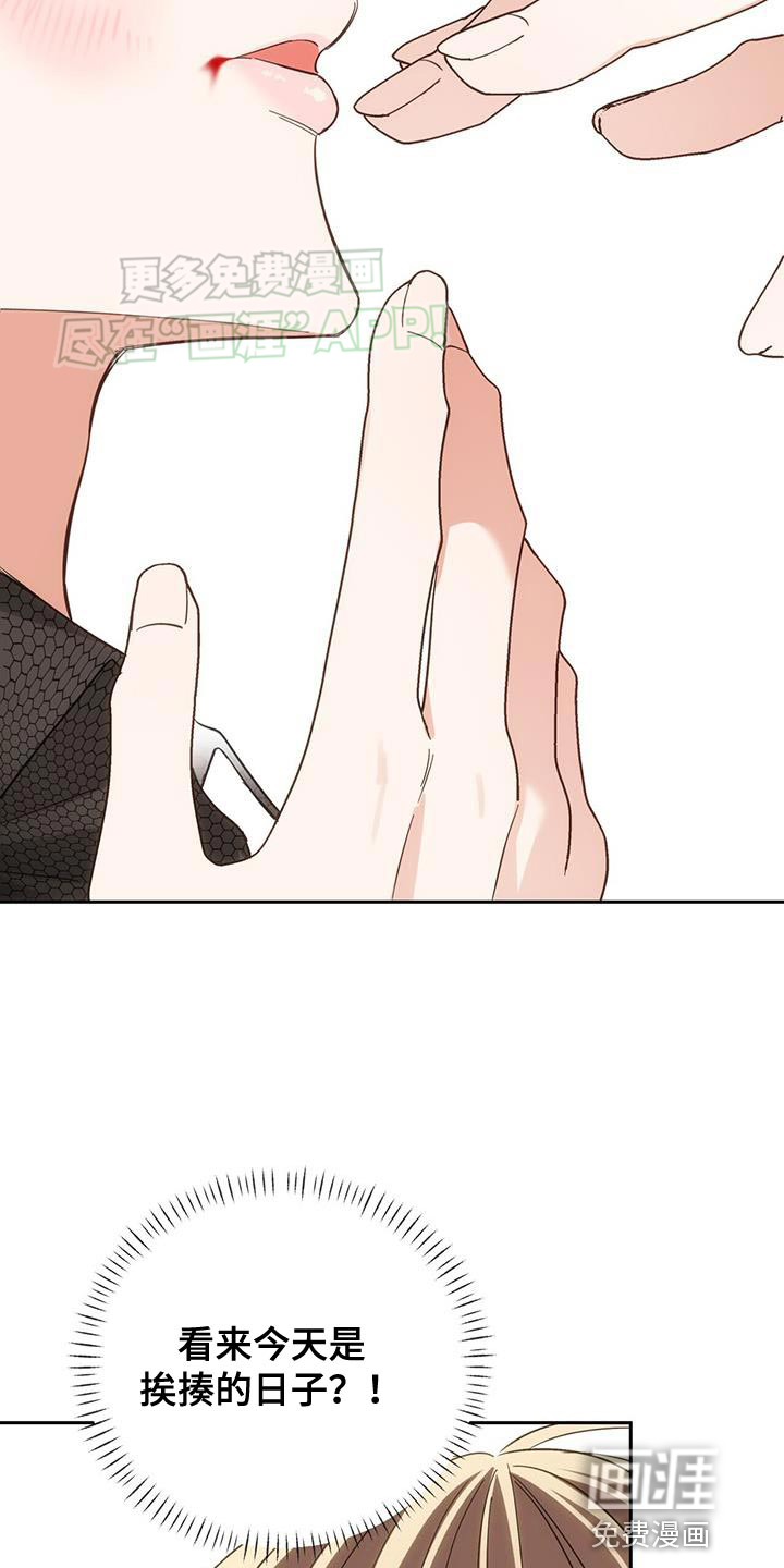 失忆总裁第16话图