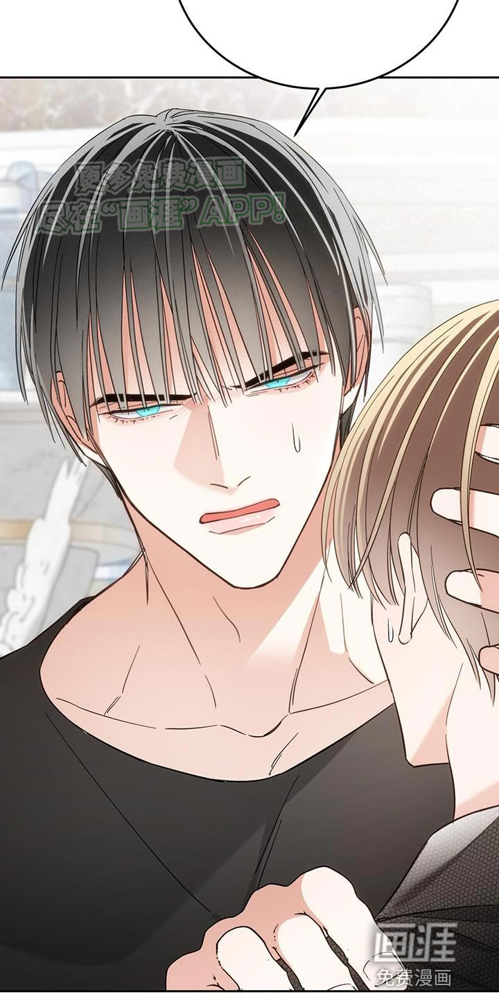 失忆总裁第16话图