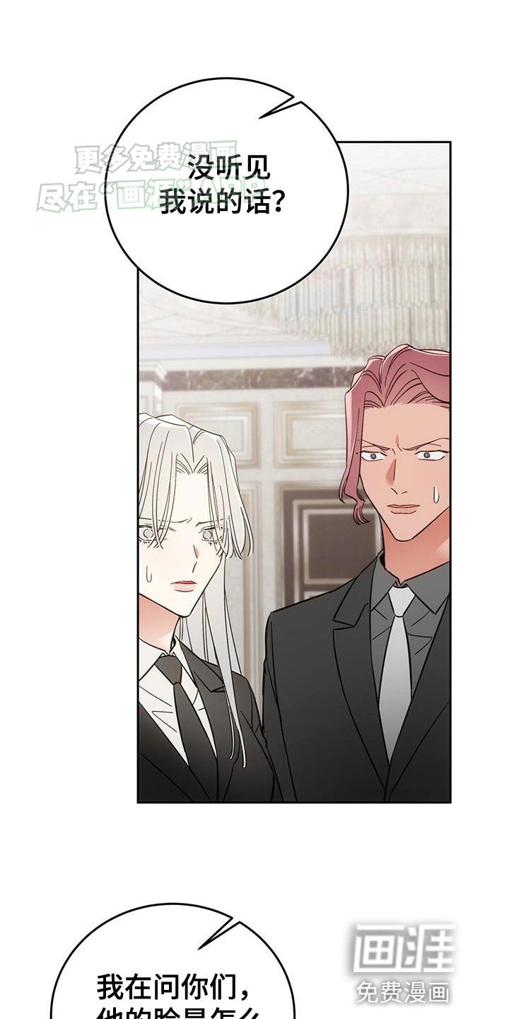 失忆总裁第17话图