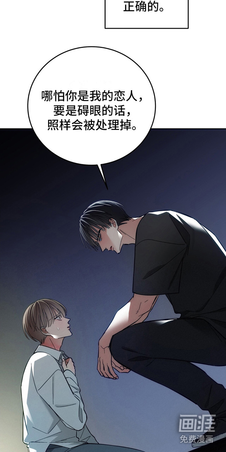 失忆总裁第9话图