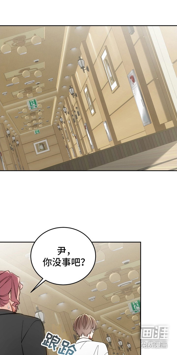 失忆总裁第9话图