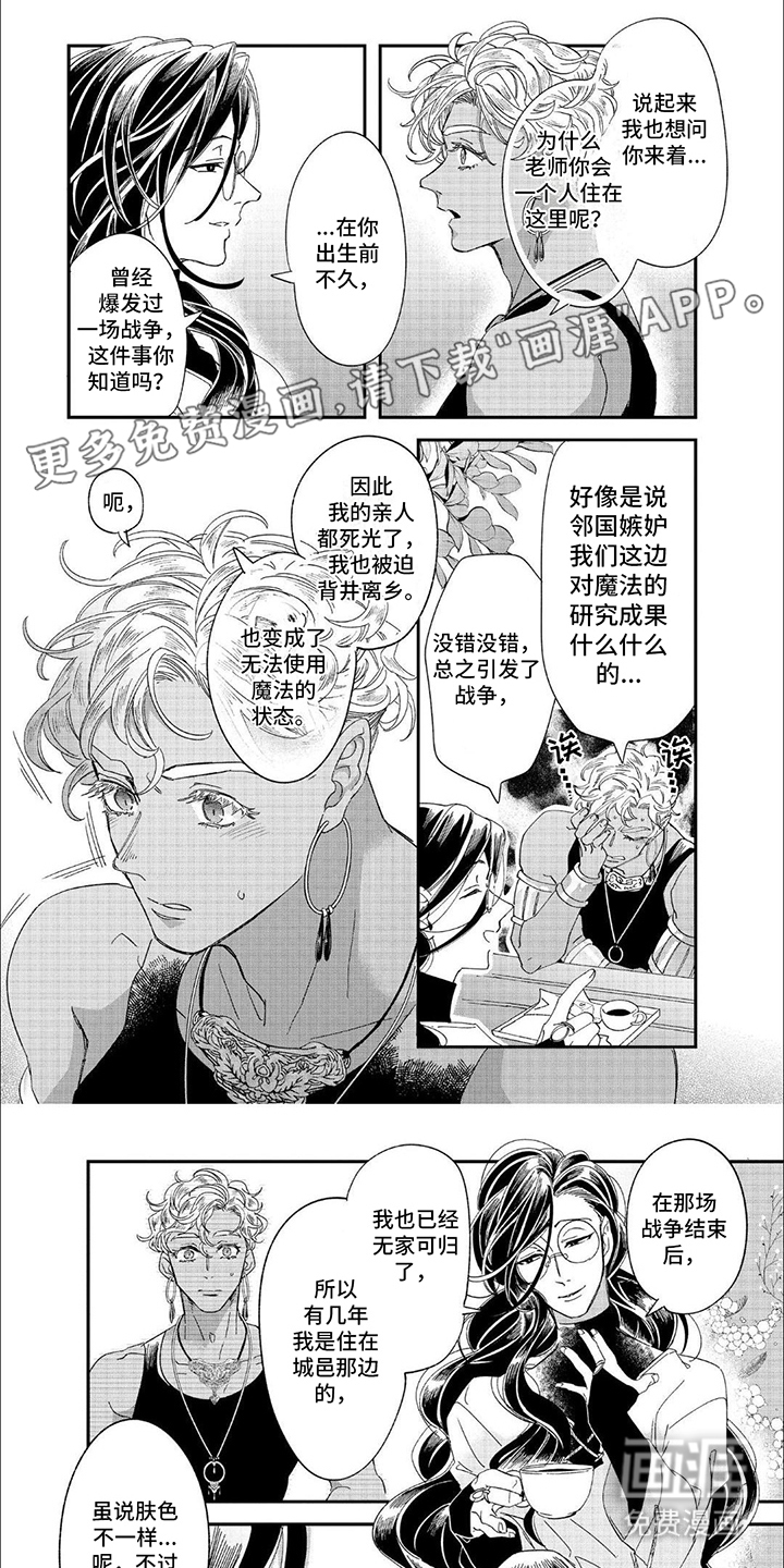 森林里的魔法师第10话图