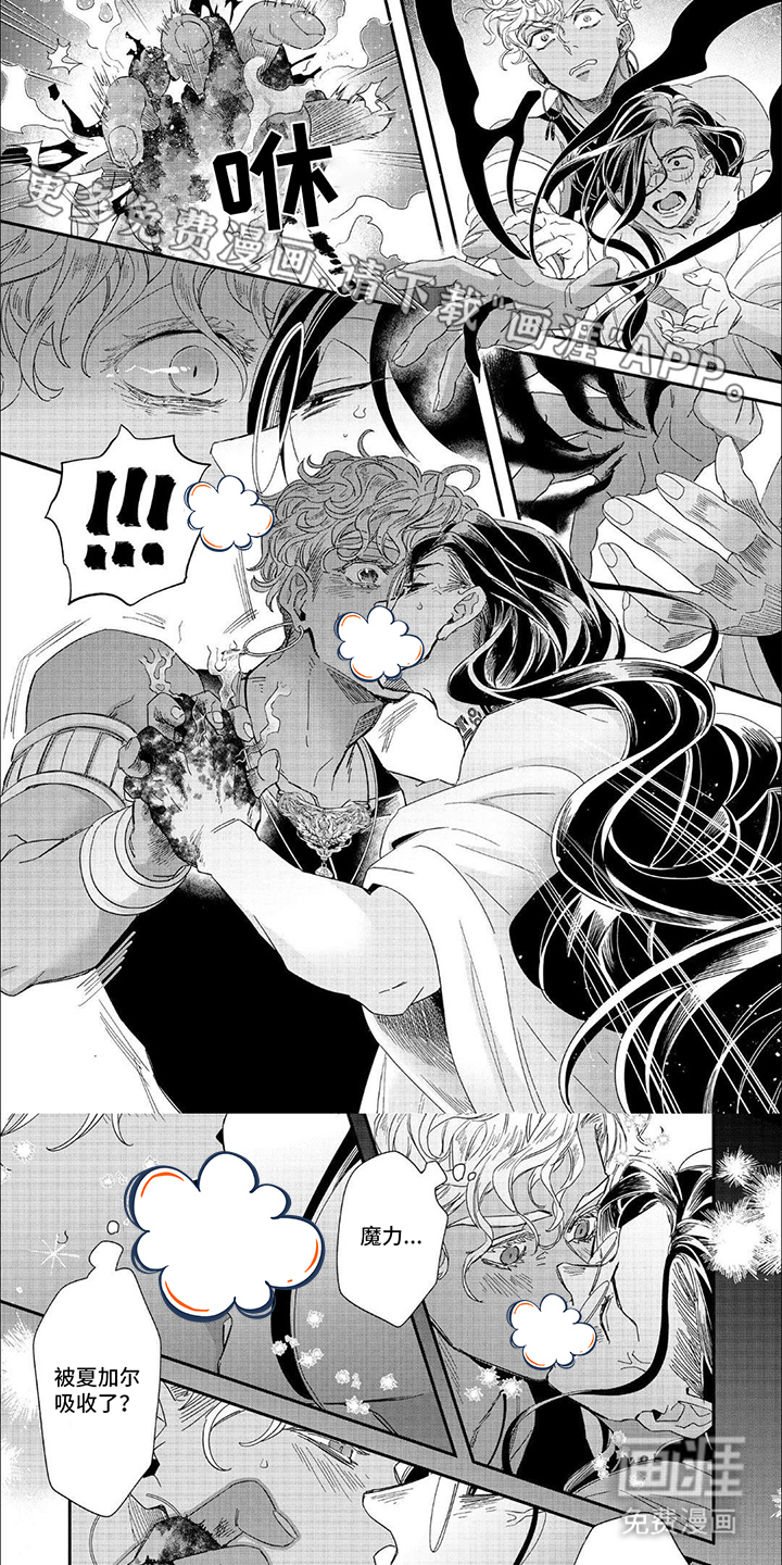 森林里的魔法师第16话图