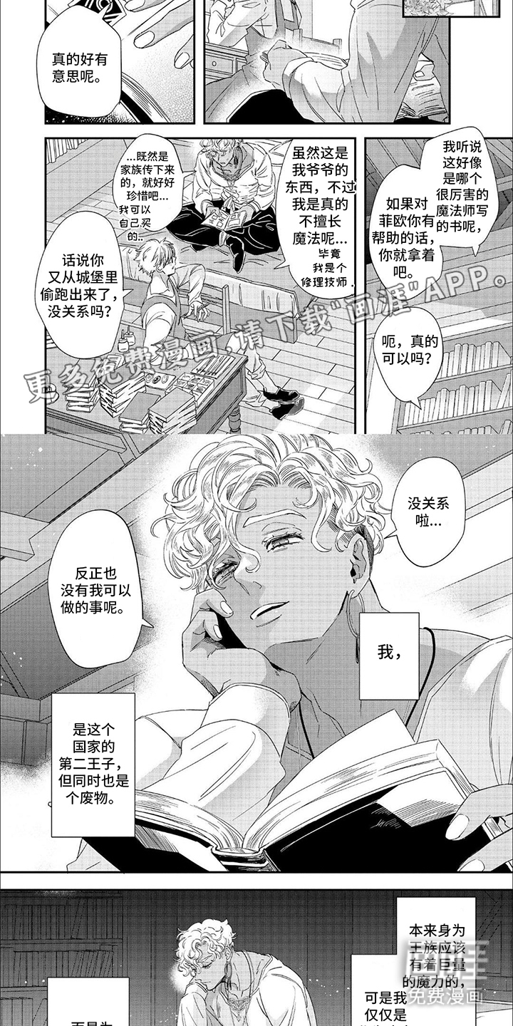 森林里的魔法师第22话图