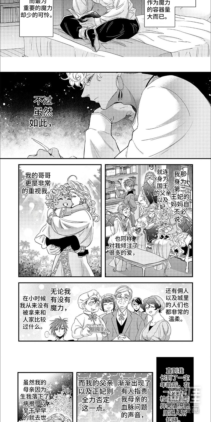 森林里的魔法师第22话图