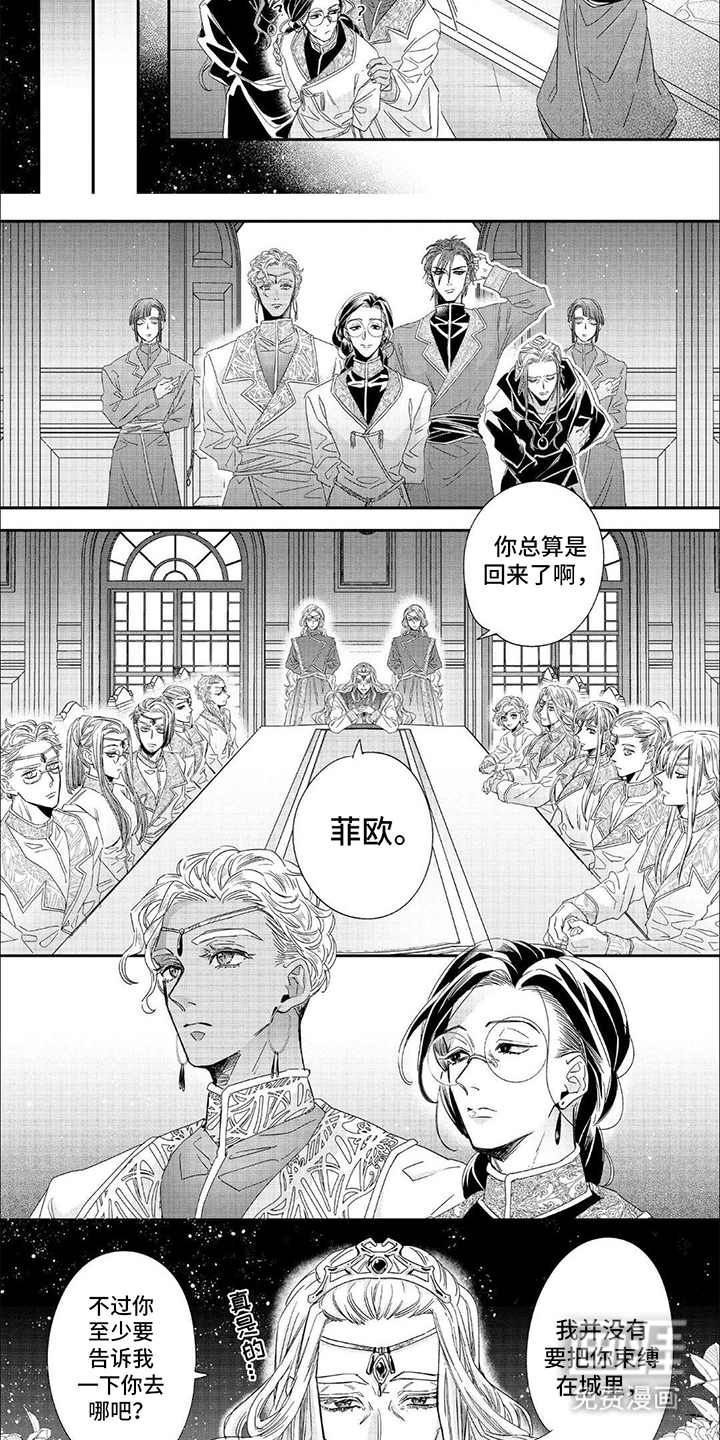 森林里的魔法师第25话图