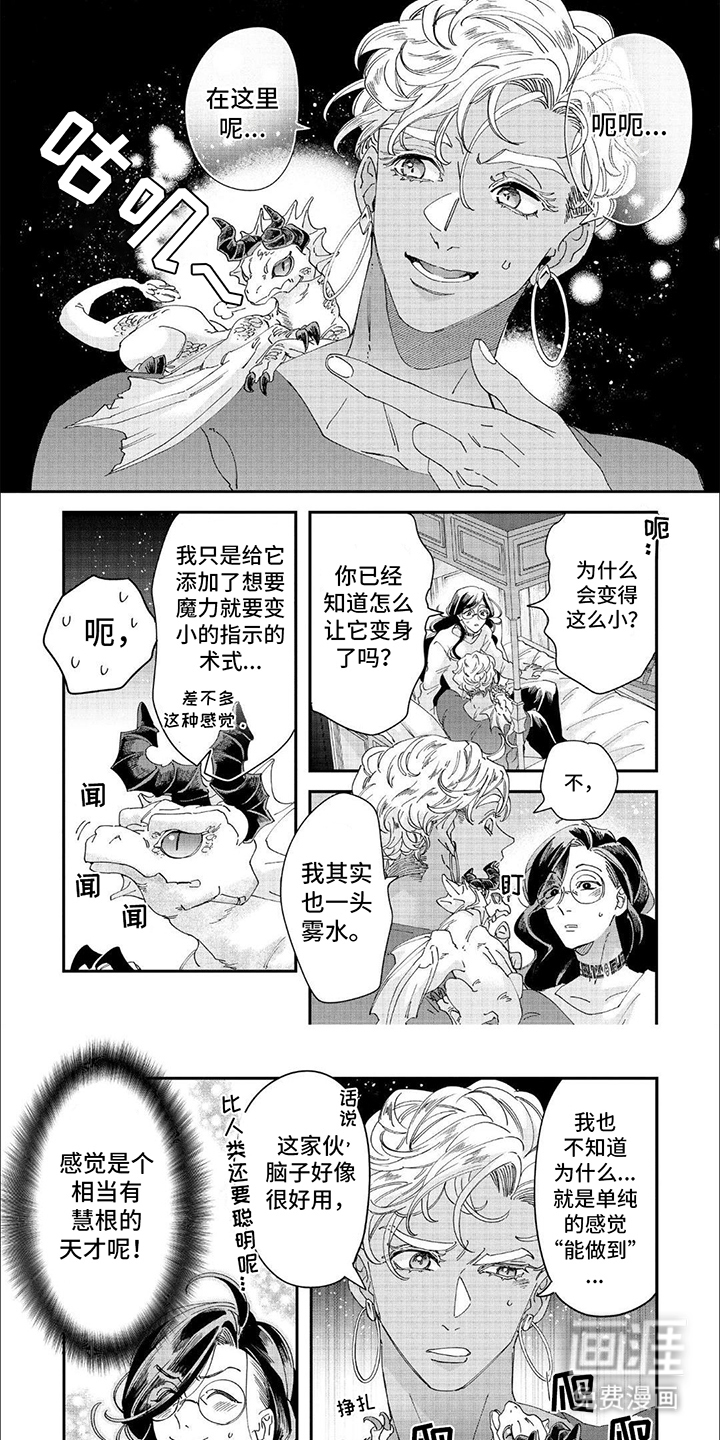 森林里的魔法师第35话图