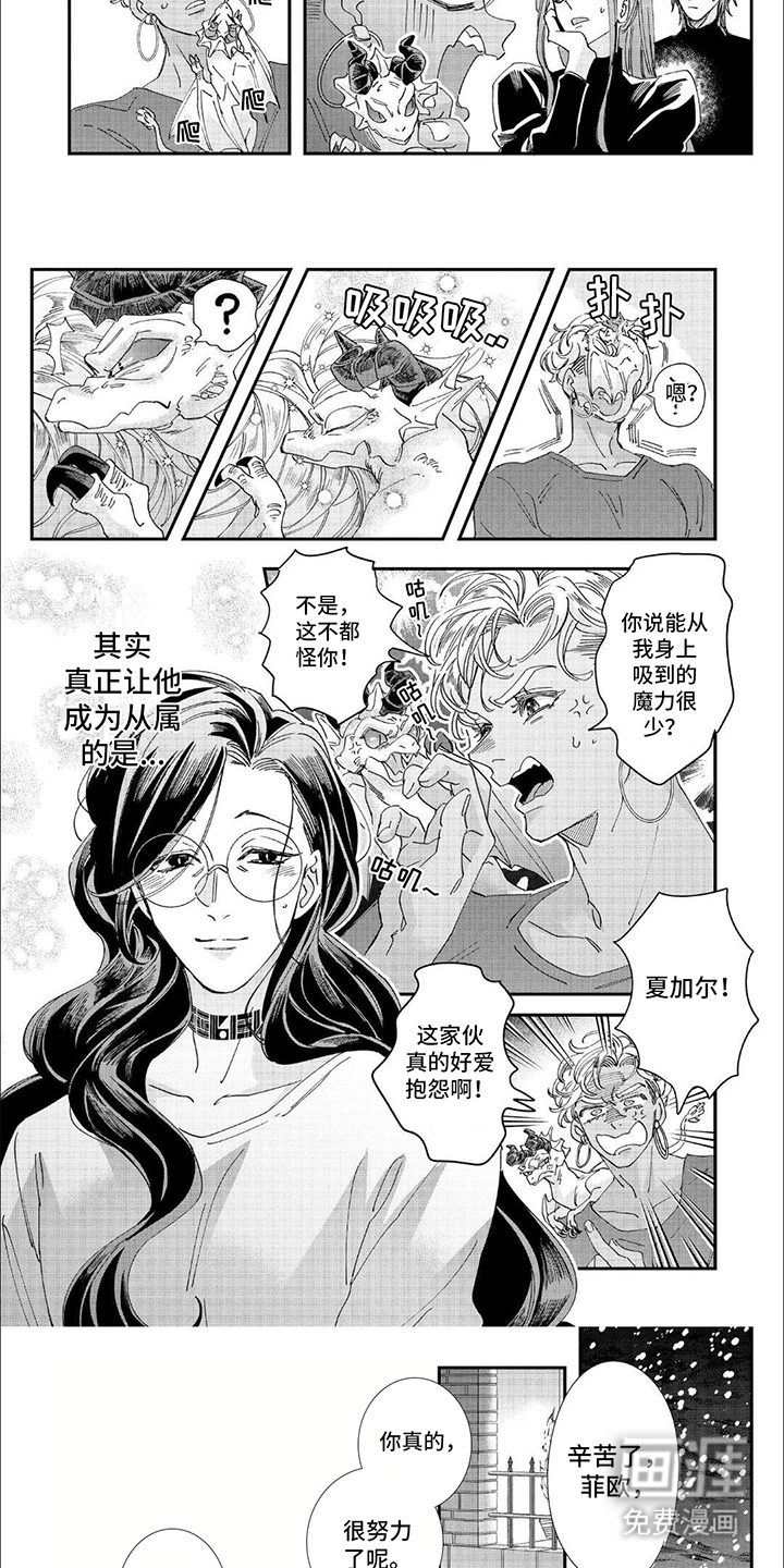 森林里的魔法师第35话图