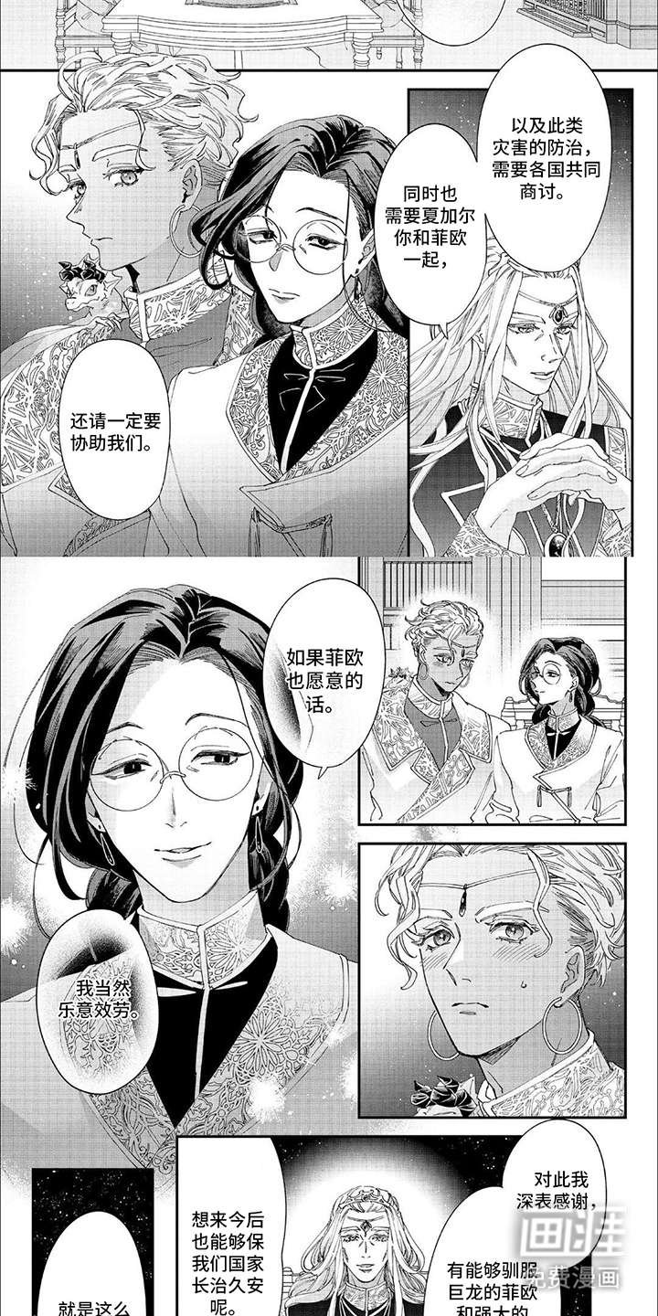 森林里的魔法师第39话图