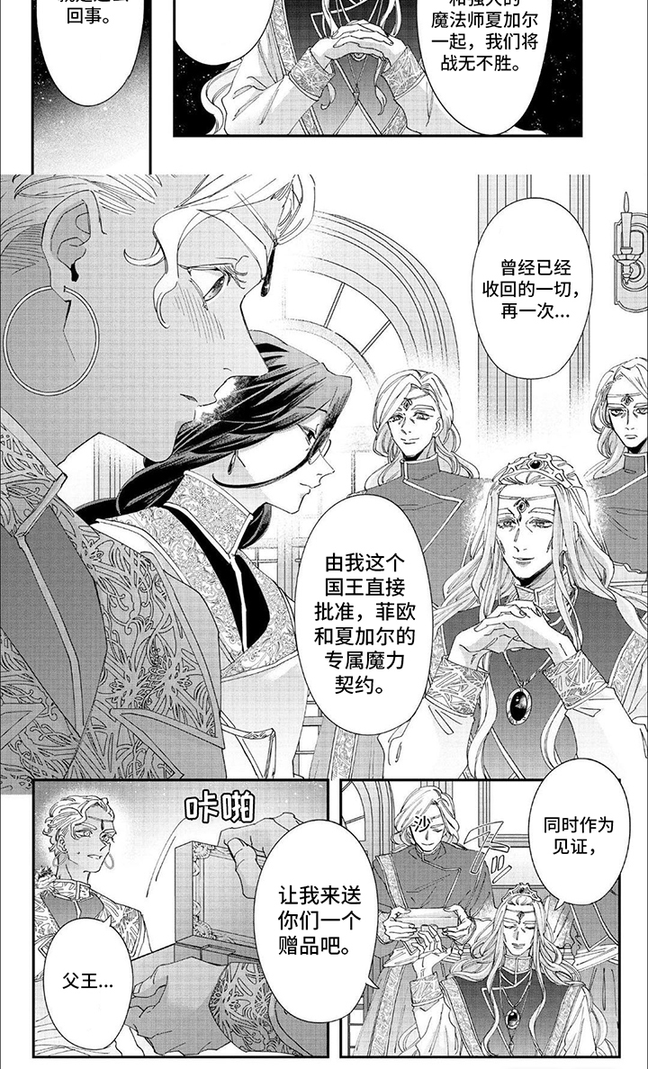 森林里的魔法师第39话图