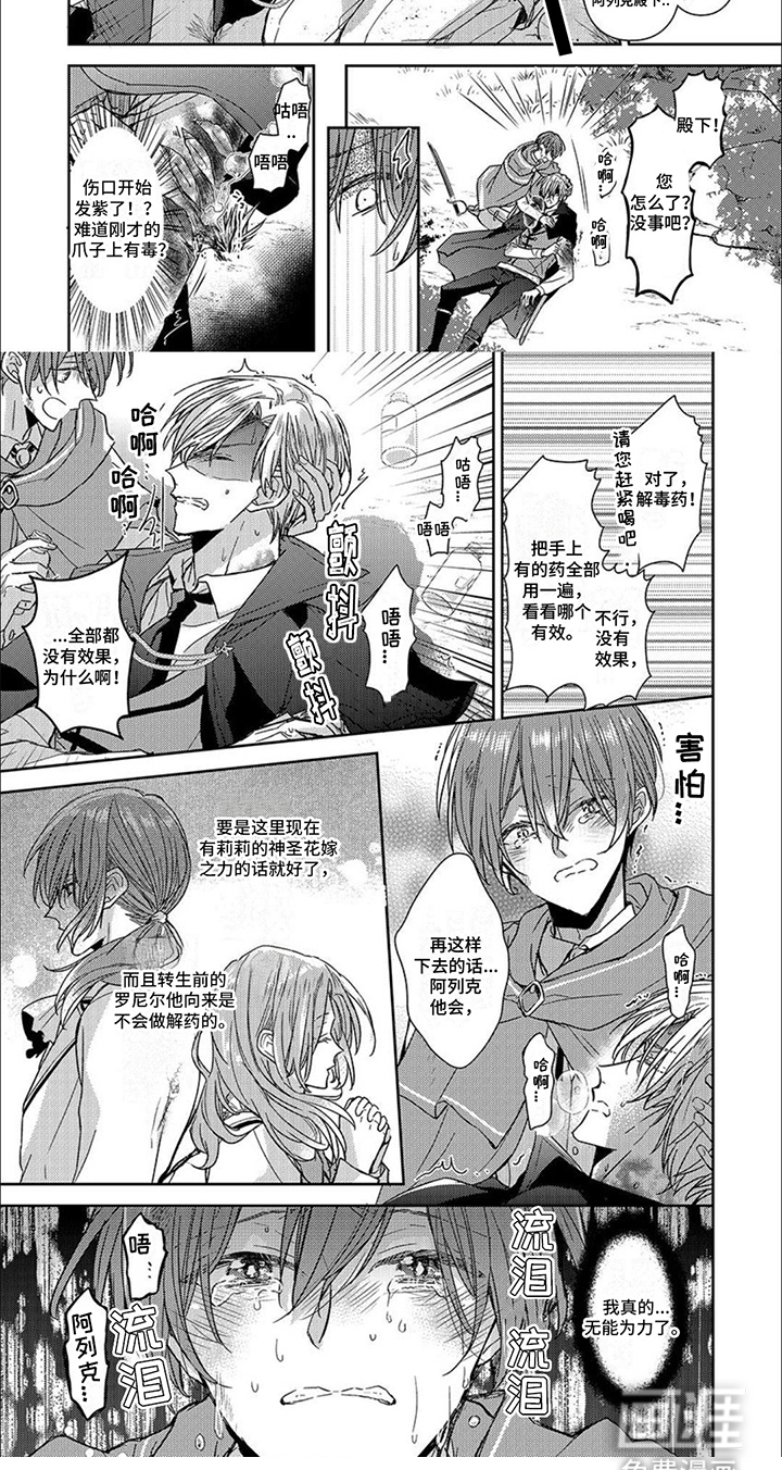 神圣花嫁第10话图