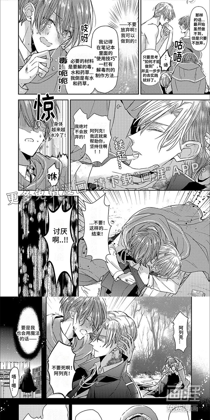 神圣花嫁第11话图