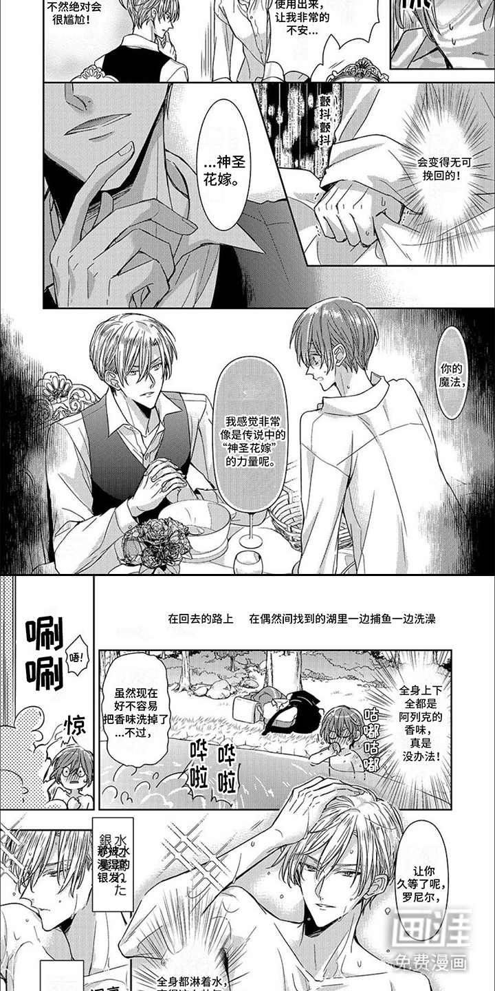 神圣花嫁第12话图