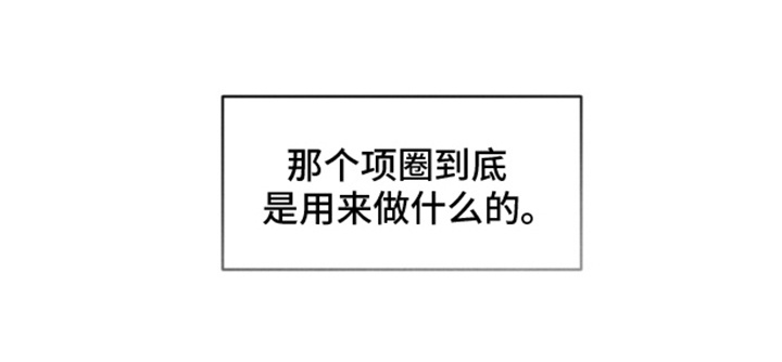 私人定制第9话图