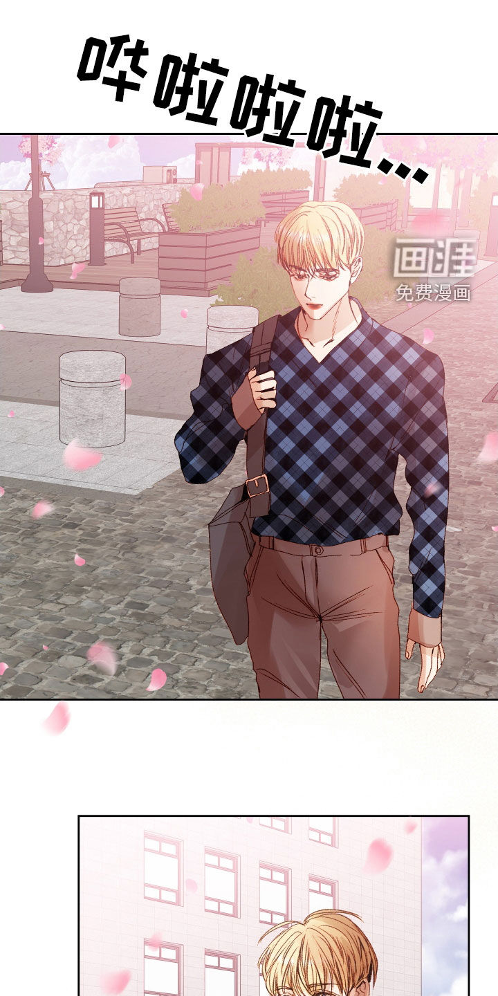 深情合集第40话图