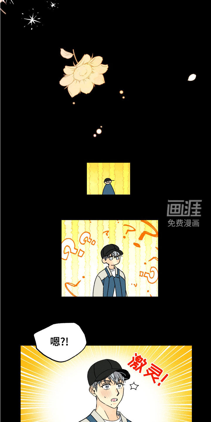 守护梦星第25话图