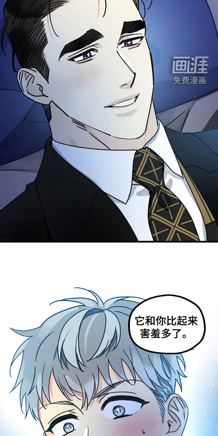 守护梦星第28话图