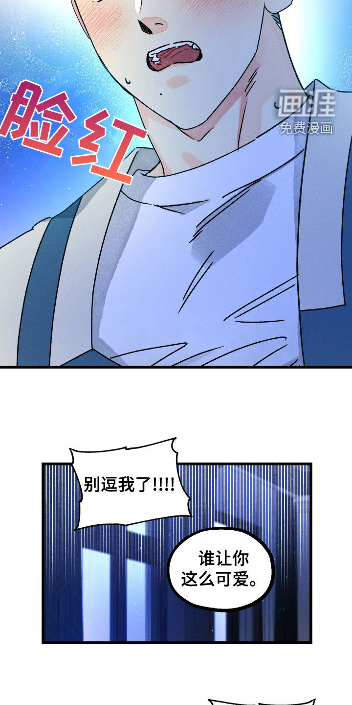 守护梦星第28话图