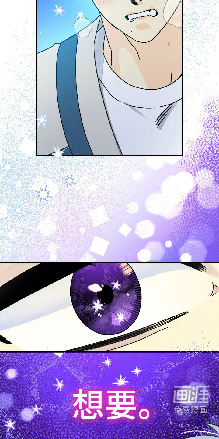 守护梦星第28话图