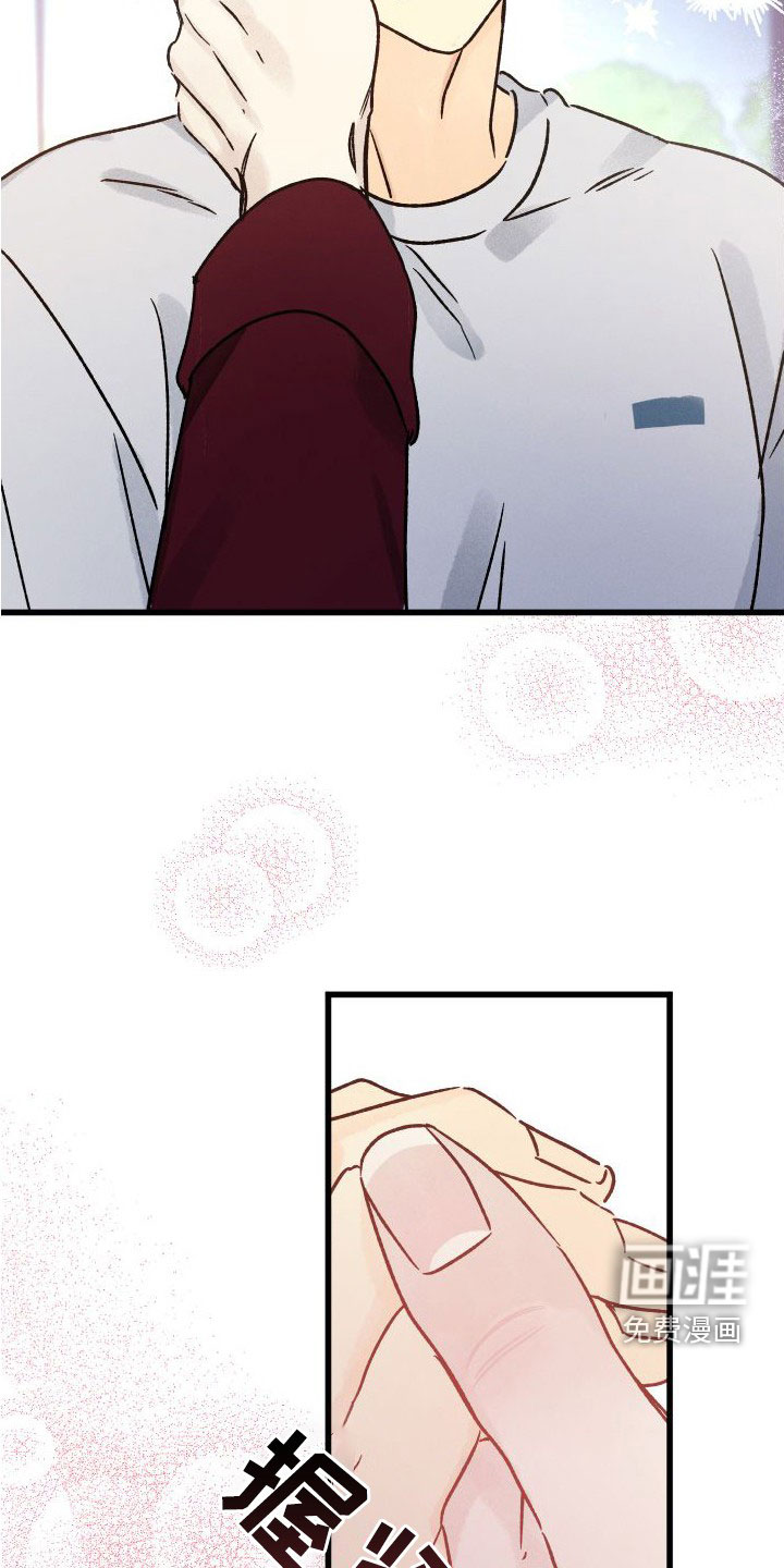 守护梦星第39话图