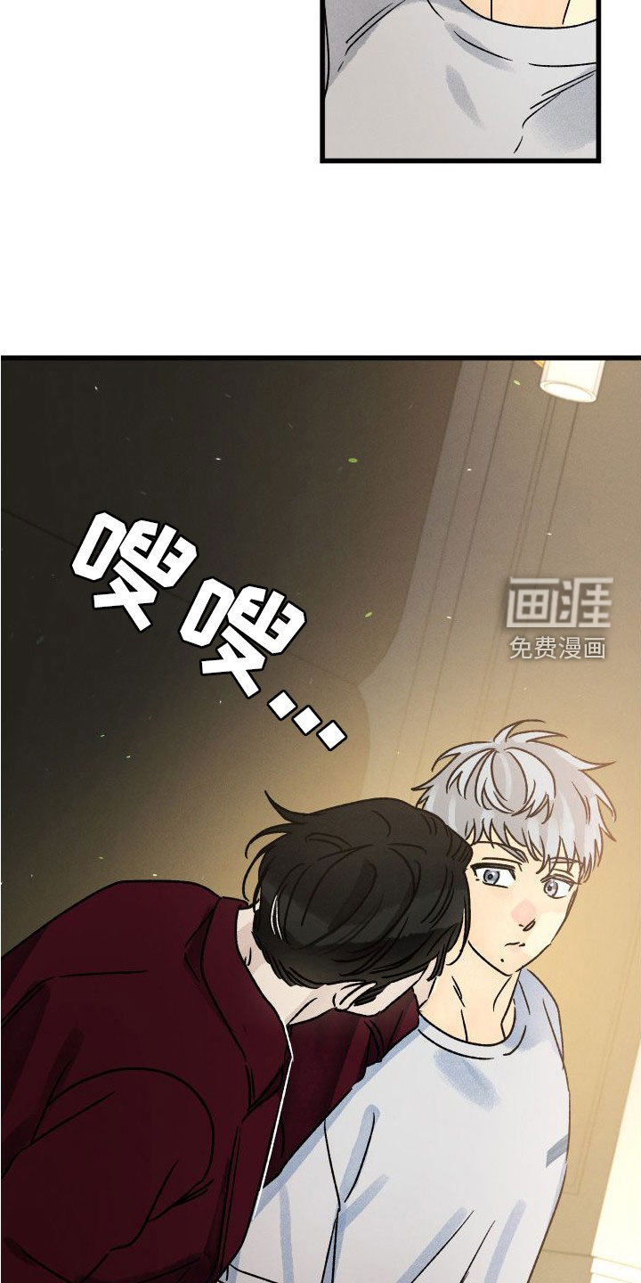 守护梦星第39话图