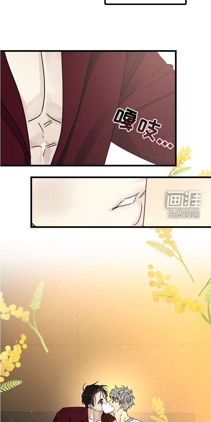 守护梦星第39话图