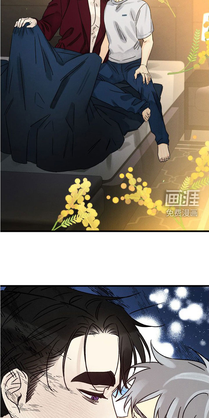 守护梦星第39话图