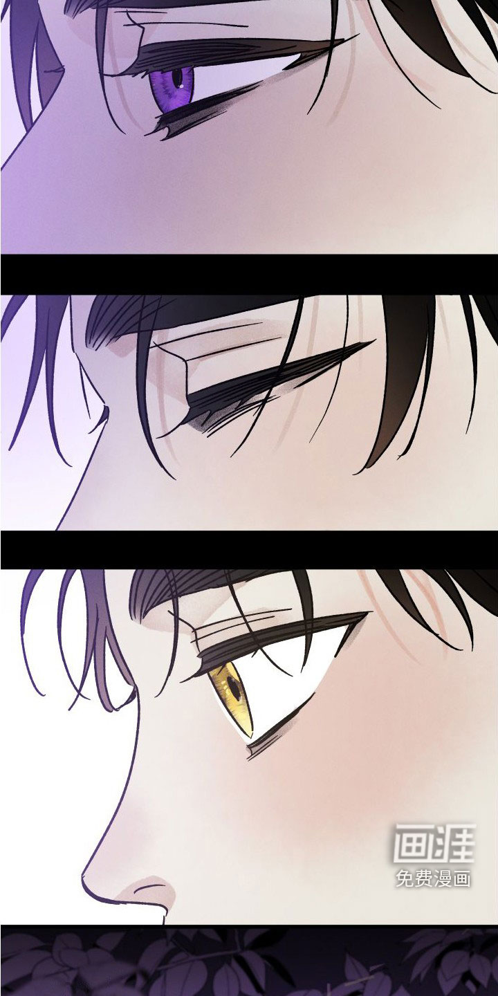 守护梦星第40话图