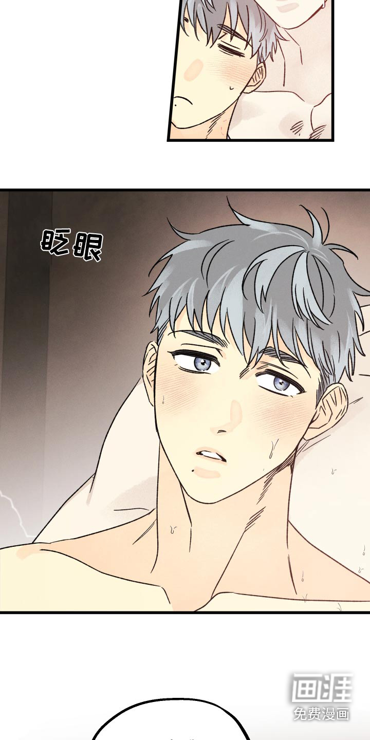 守护梦星第45话图