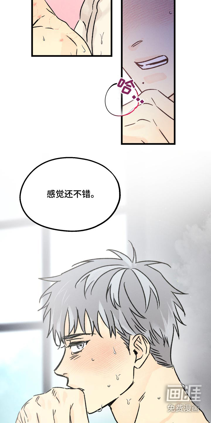 守护梦星第45话图