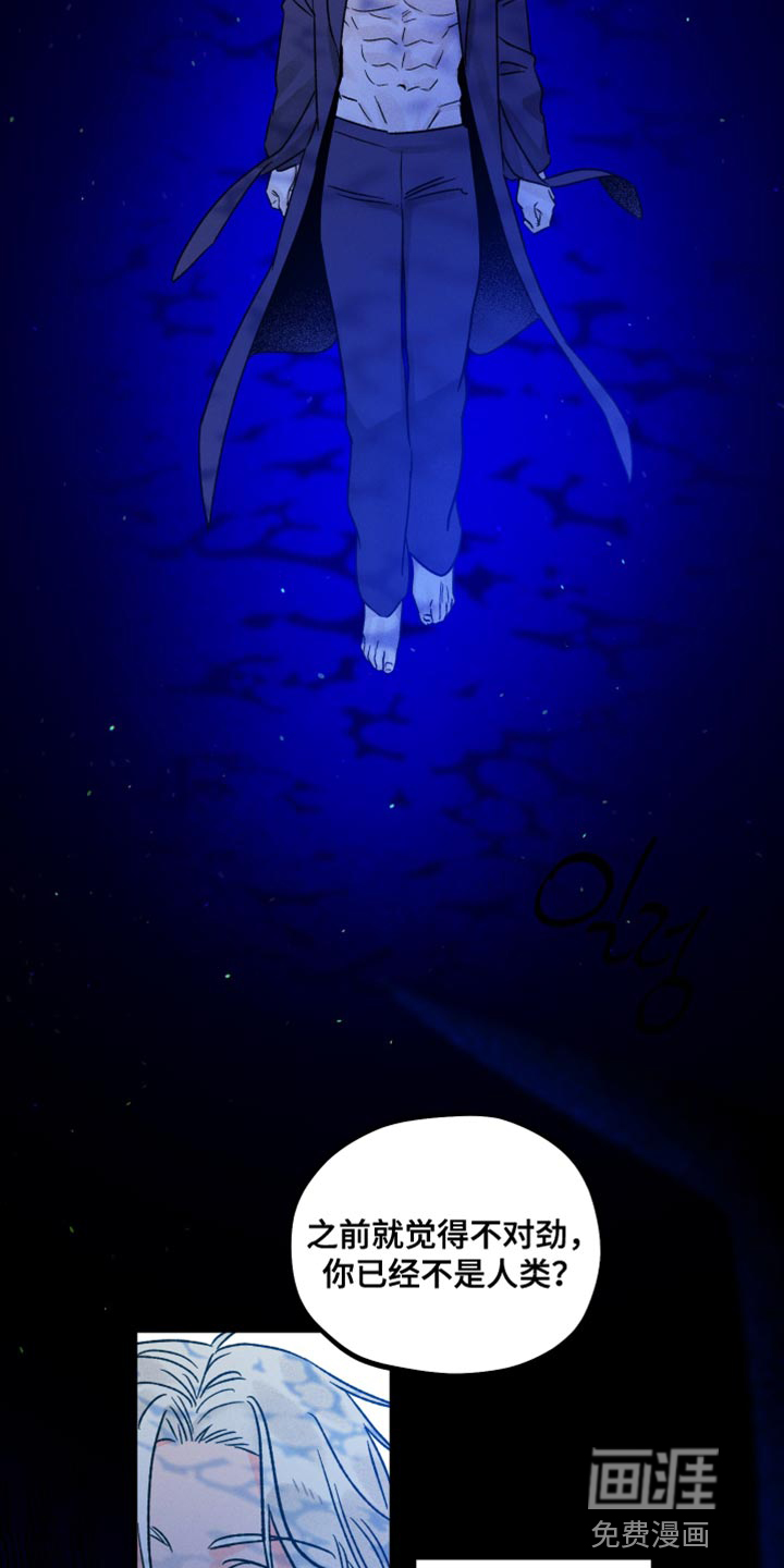 守护梦星第50话图