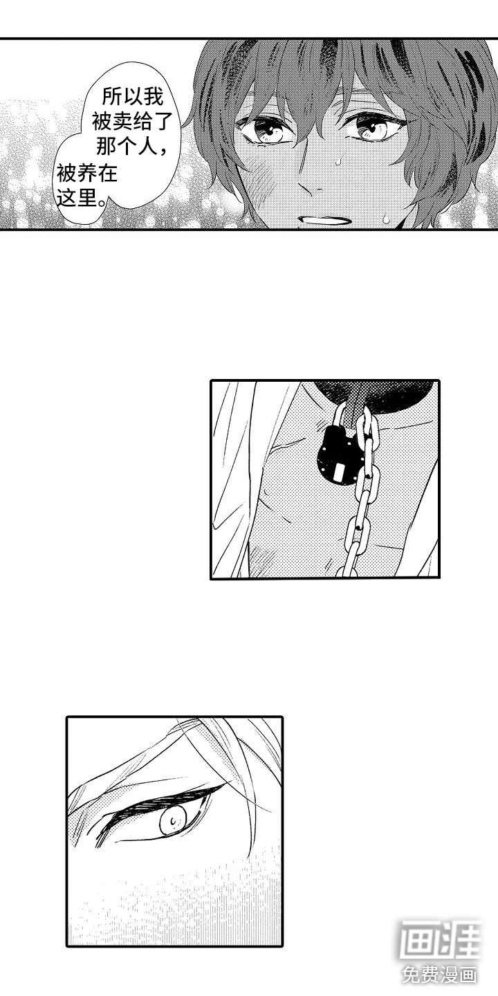 神之泪第10话图