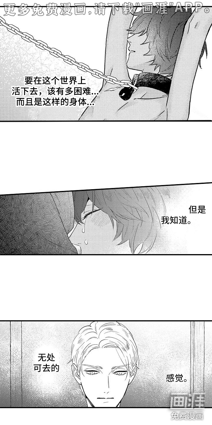 神之泪第15话图