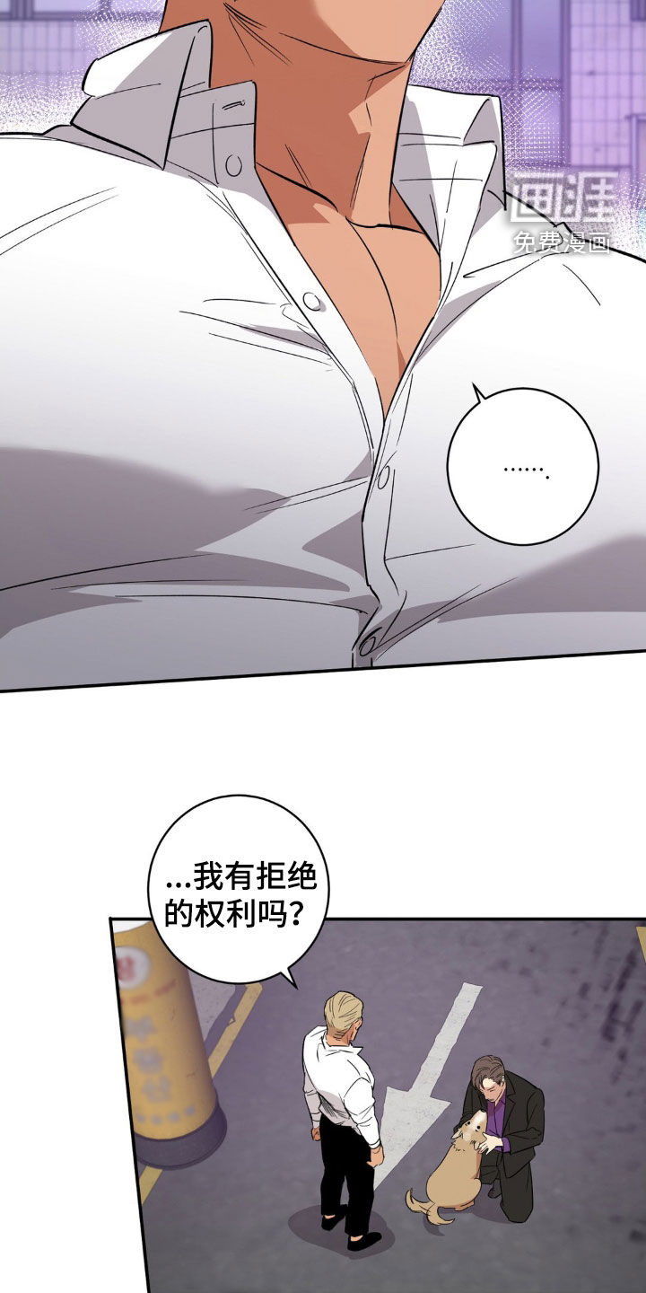 死亡回避第49话图