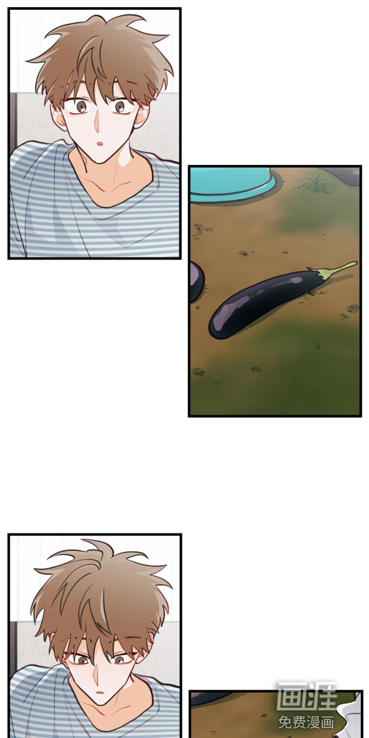 谁吻了我第29话图