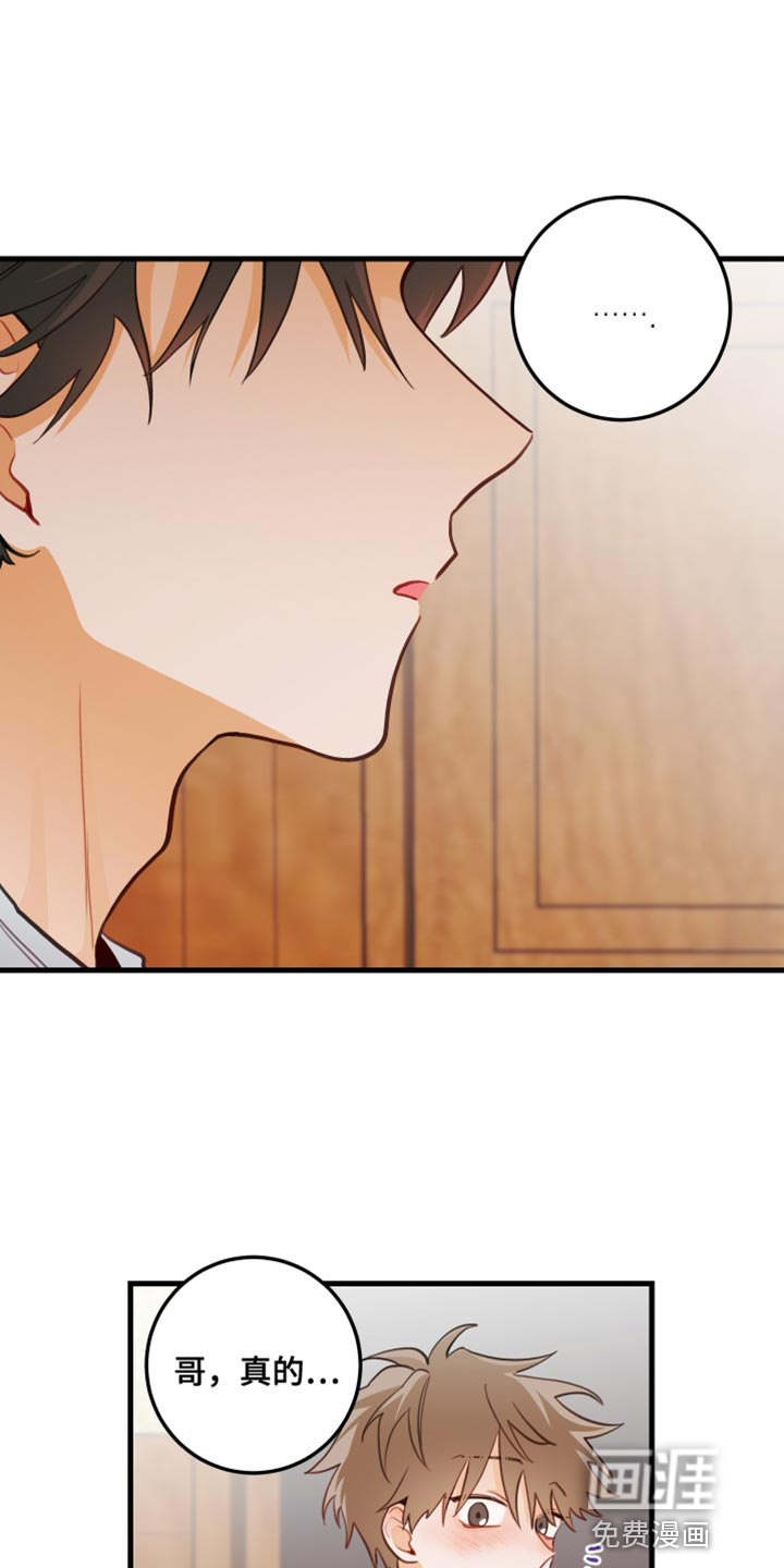 谁吻了我第36话图