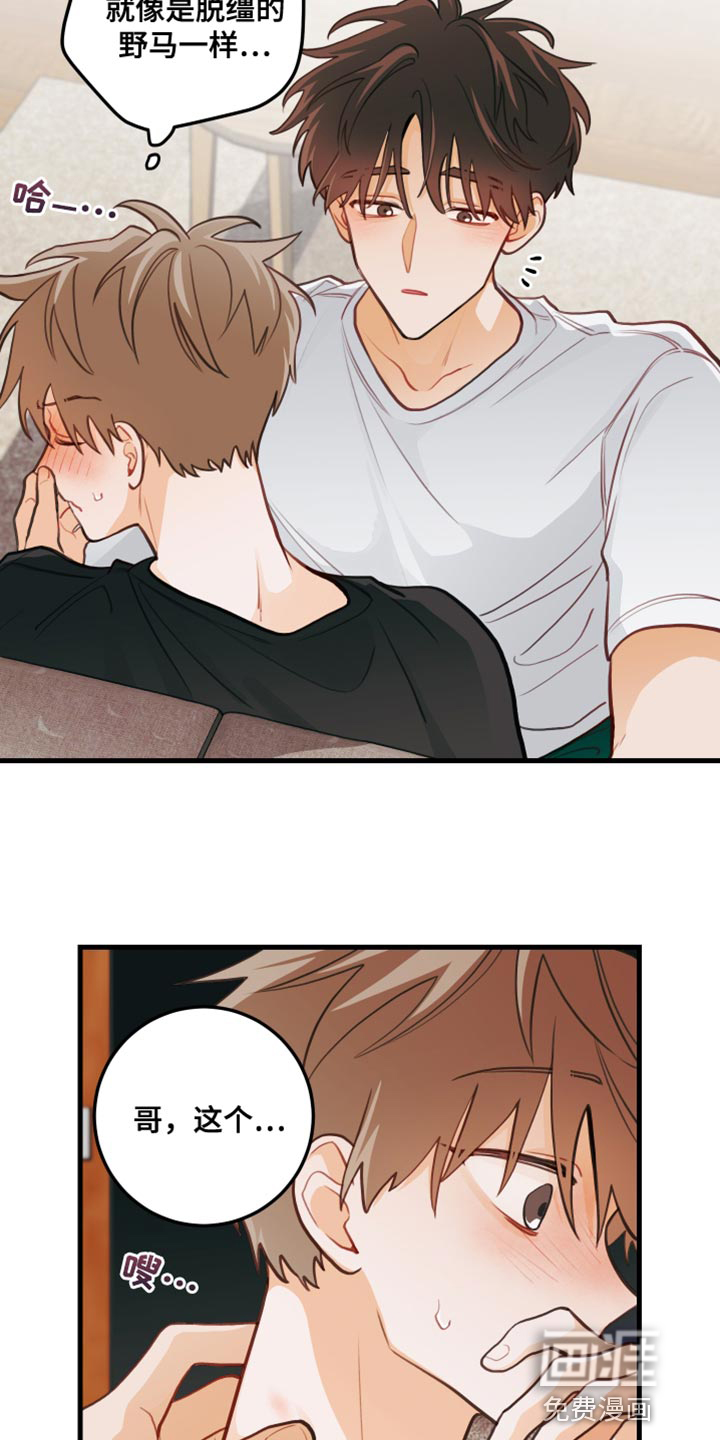 谁吻了我第36话图