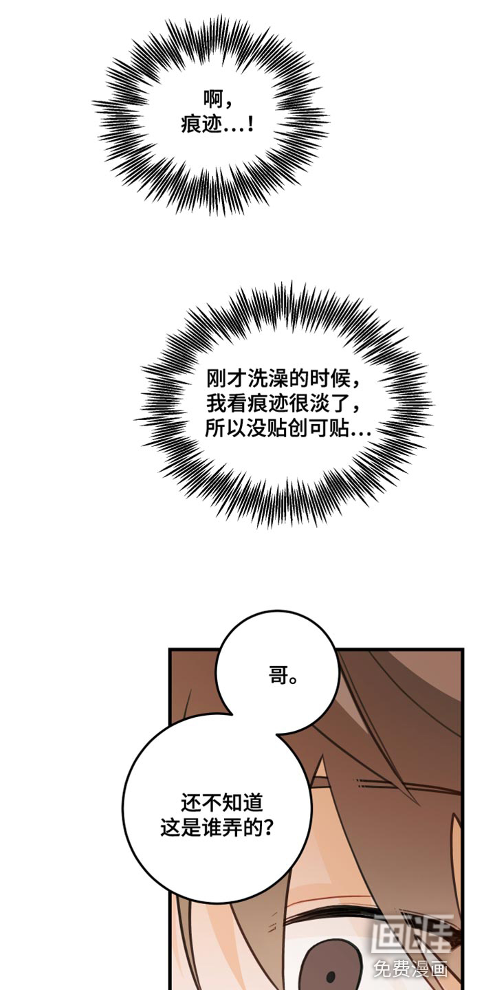 谁吻了我第36话图