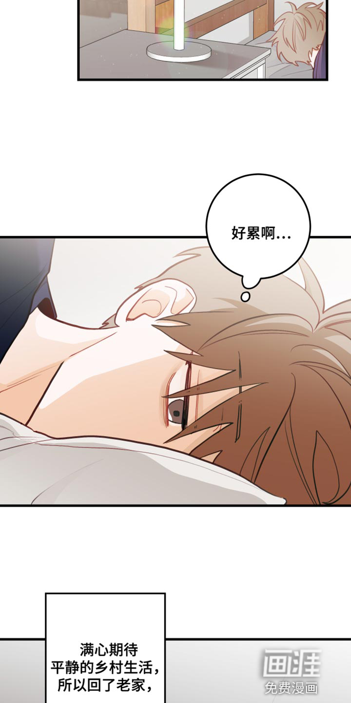 谁吻了我第42话图