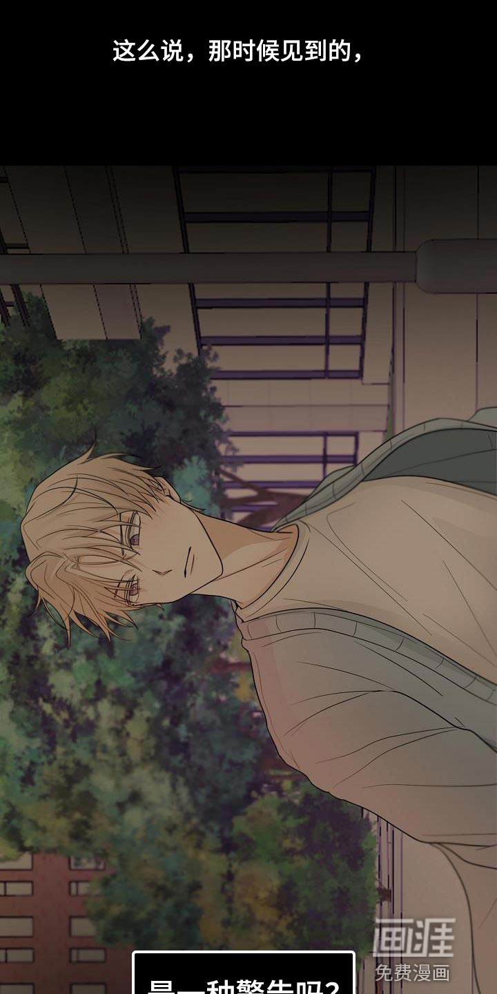 死亡告白第25话图