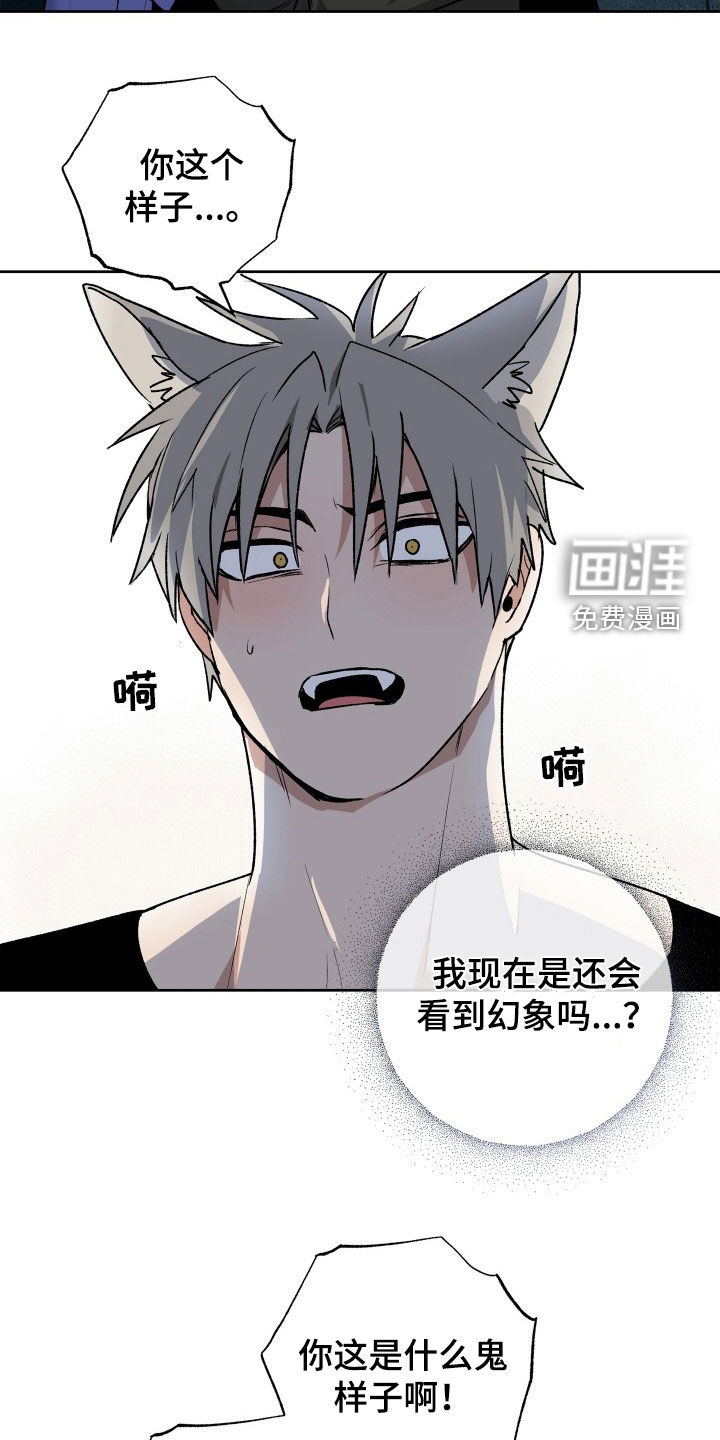 兽宠若惊第31话图